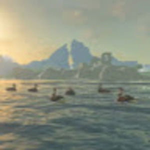 Meet your Posher, Luis fernando